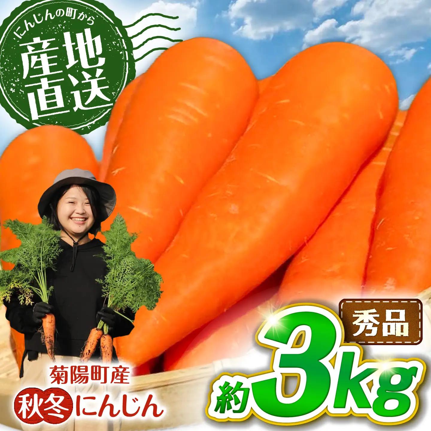 【先行予約】2026年11月中旬より順次発送 菊陽秋冬にんじん 秀品 約3kg / にんじん BHDL003