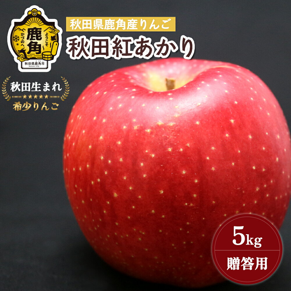 【ふるさと納税】《 先行予約 》 りんご 贈答用 秋田紅あかり 5kg ( 13～18玉入 ) 鹿角りんご 食感 果汁 リンゴ 完熟 旬 県産 りんご お中元 お歳暮 贈り物 グルメ ギフト 故郷 秋田 あきた 鹿角市 鹿角 送料無料 【山麓園】