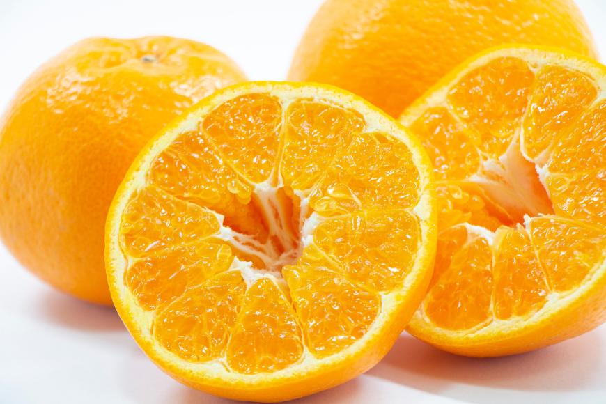 
            【先行予約】Saito Orange Farmのはるみ5kg ※離島への配送不可（2026年2月上中旬頃より順次発送） 【 ふるさと納税 人気 おすすめ ランキング みかん ミカン 蜜柑 柑橘 はるみ フルーツ 果物 産地直送 Saito Orange Farm 愛媛県産 愛媛県 伊方町 送料無料 】 IKTAQ016
          