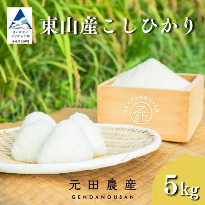 ふるさと納税 小松市 【先行予約】令和8年産 コシヒカリ 精米 5kg 石川県 小松市 こしひかり お米 白米【元田農産】