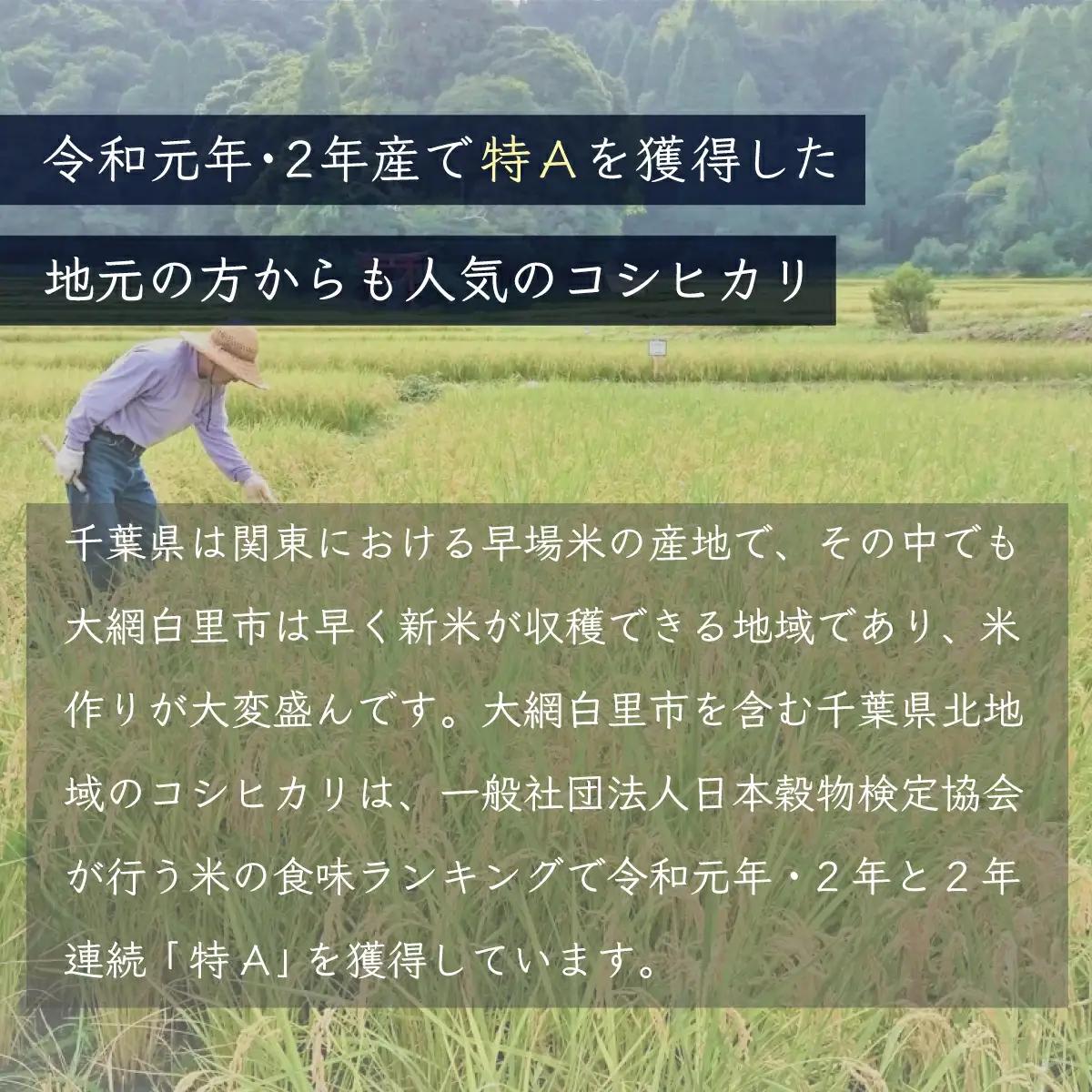 新米 令和8年産 千葉県産「ふさこがね」5kg（5kg×1袋） A061