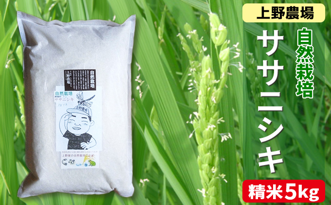 新潟産自然栽培ササニシキ精米　5kg お米 ご飯 食卓 主食 おにぎり お弁当 国産 日本産 ブランド米