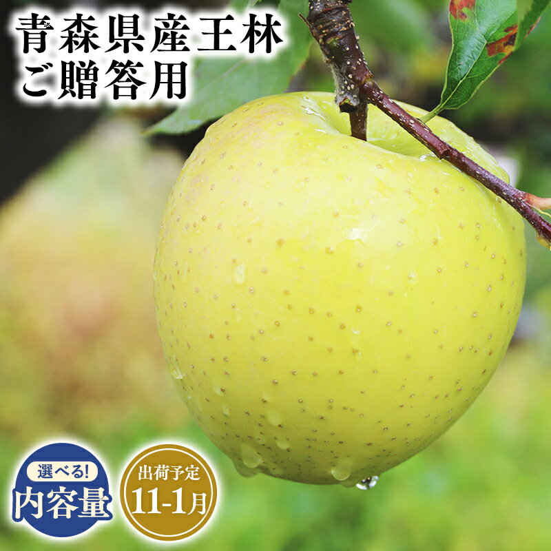 【ふるさと納税】2025年度産 先行予約!≪内容量が選べる≫青森県産 贈答用 王林 3kg 5kg 10kg【青森県 平川市 そと川りんご園】11月〜1月発送 贈答 青森 青森県産 平川 りんご リンゴ 林檎 くだもの 果物 フルーツ レビューキャンペーン