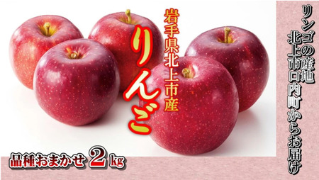 予約受付 8月上旬～発送予定　【 品種おまかせ 】りんご 約 2kg セット 北上市/口内産 りんご 果物 フルーツ おやつ お土産 お歳暮 お中元 お祝い 子供 ファミリー 家庭 金成園 岩手県 北