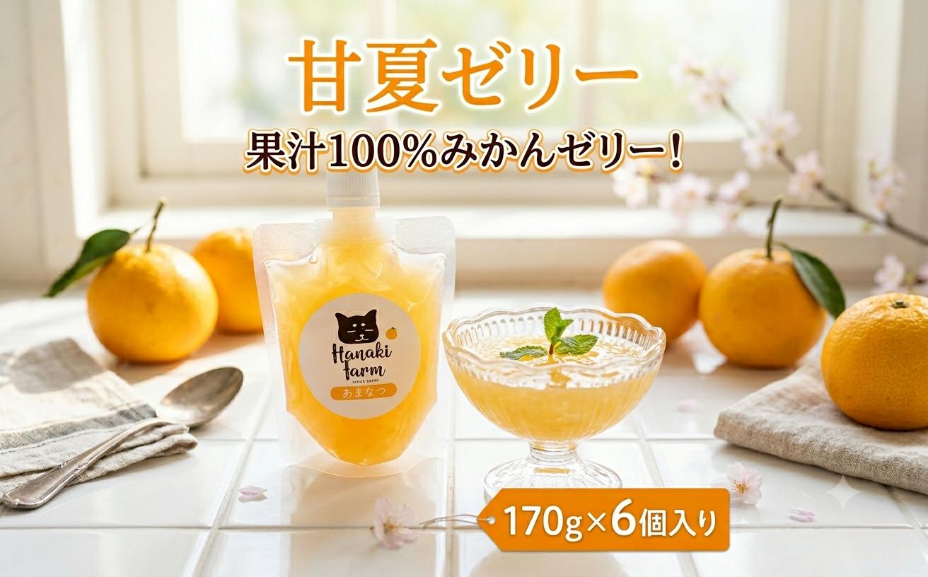 
                  果汁100％ 甘夏ゼリー 170g×6個  みかん 蜜柑 あまなつ 甘夏 ゼリー スイーツ おやつ 果物 柑橘 フルーツ ジュレ 愛媛 愛南町 はなき農園
                