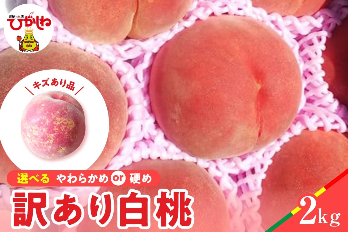 
            ≪選べる硬さ≫2026年産 白桃 品種おまかせ 訳あり2kg(硬めorやわらかめ) 松栗提供 山形県 東根市 hi062-058-o
          