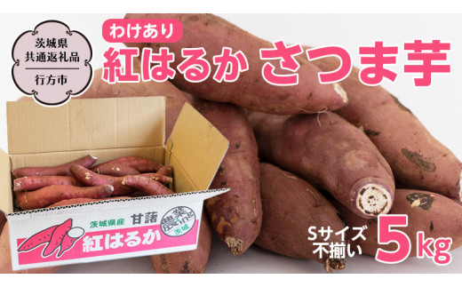 
【訳あり】 紅はるか さつま芋 5kg Sサイズ不揃い 【茨城県共通返礼品／行方市】 訳あり 国産 茨城 さつまいも 芋 塚田商店 [EE001sa]
