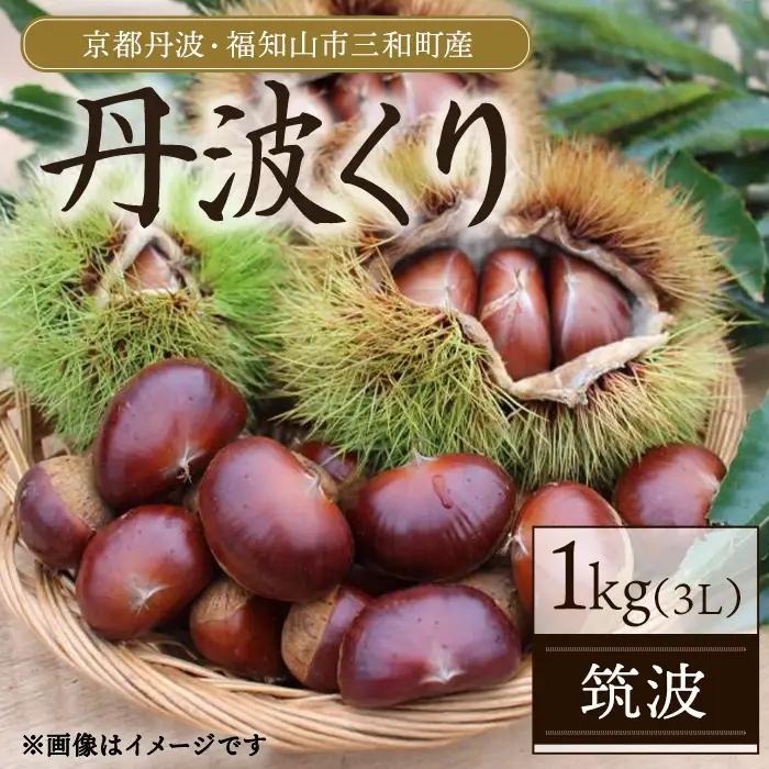 京都丹波 丹波くり 1kg 筑波 3L 丹波かなまろんふぁーむ