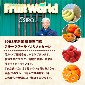 【2026年1月中旬より順次発送】 フルーツセット 紅ほっぺ 2パック 三ヶ日みかん 3kg セット 詰め合わせ 青島みかん みかん 蜜柑 いちご 苺 果物 旬のフルーツ 静岡 静岡県 浜松市 【配送