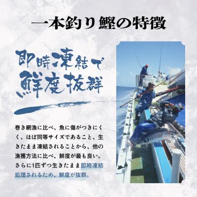 ふるさと納税 枕崎市 1本釣り血合抜き炭焼鰹たたき1.2kg 2種類のタレ付 　A3-123 |  | 03