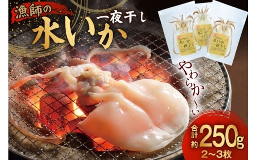 いか 一夜干し 干物  漁師の水烏賊一夜干し 2〜3枚 約250g  [中野漁業 長崎県 平戸市 hr42bgy400067] イカ 乾物 水いか 冷凍