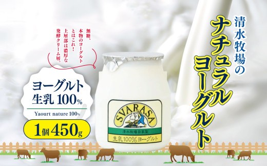 ヨーグルト生乳100パーセント Yaourt nature 100% 1個450g | ふるさと納税 長野県 松本市 信州産 ヨーグルト 生乳 クリーミー 無糖