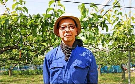白岡・下野田 斎藤さんちの美味しい梨　豊水　約2.5kg　【11246-0146】