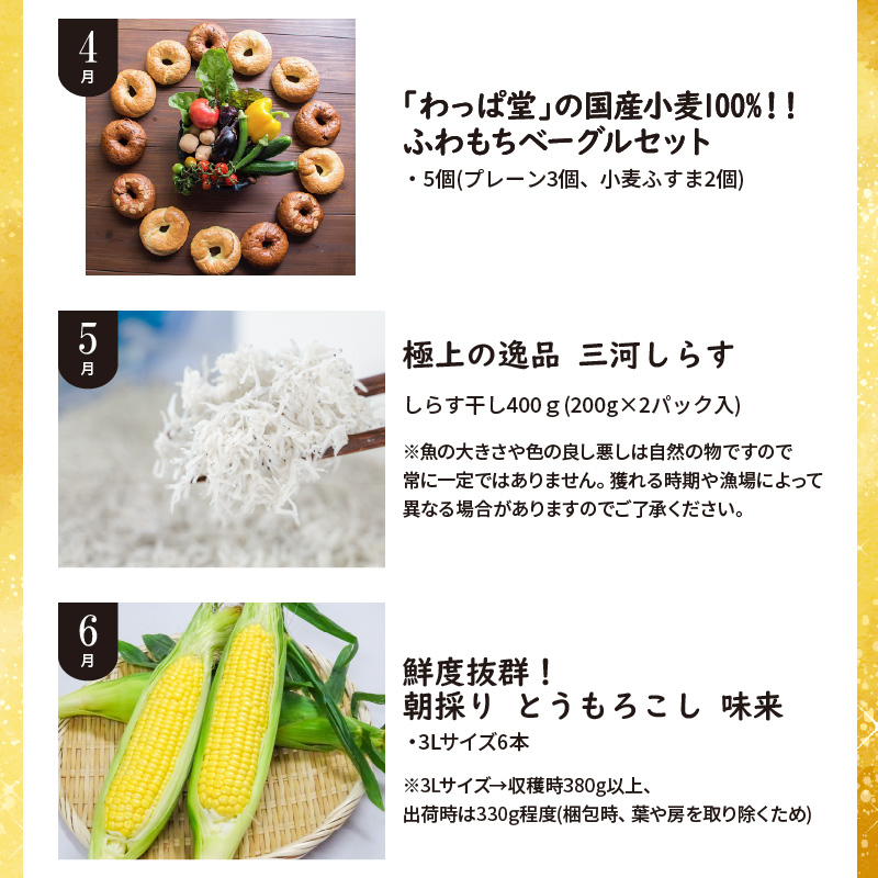 肉・魚・野菜・フルーツすべて詰まった旬の定期便(全12回お届け)　H028-077