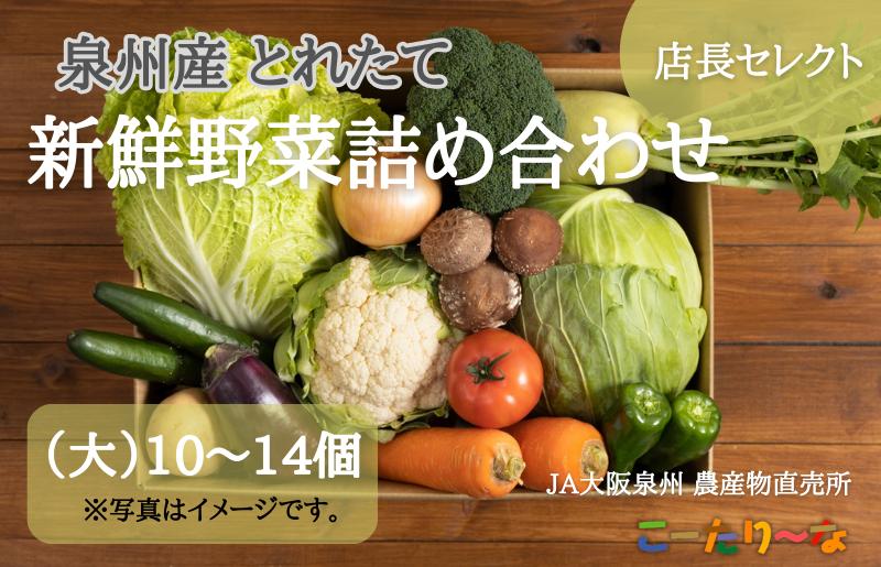 JA大阪泉州 直売所店長セレクト 新鮮野菜セット【10〜14個 詰め合わせ 泉佐野産 とれたて 新鮮野菜 やさい 高評価 数量限定 大阪 泉佐野 大阪府 泉佐野市】
