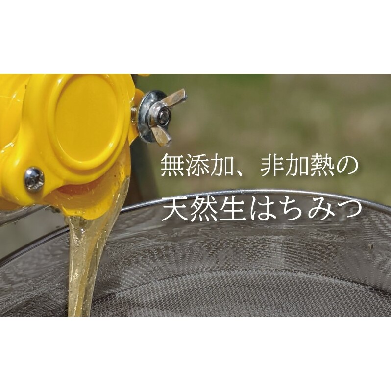 【先行予約 2025年6月20日より発送】合計300g 天然蜂蜜 国産蜂蜜 非加熱 生はちみつ 岐阜県 美濃市産 春 (蜂蜜300g入りピタッとボトル1本)A9 深田養蜂のハチミツ_イメージ3