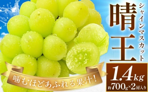 【2026年先行予約】ぶどう シャインマスカット 晴王 約1.4kg (約700g×2房入り) 満天フルーツ《2026年9月上旬-10月末頃出荷》岡山県 浅口市 送料無料 マスカット フルーツ 果物 お取り寄せフルーツ 贈り物 ギフト 国産 岡山県産【配送不可地域あり】