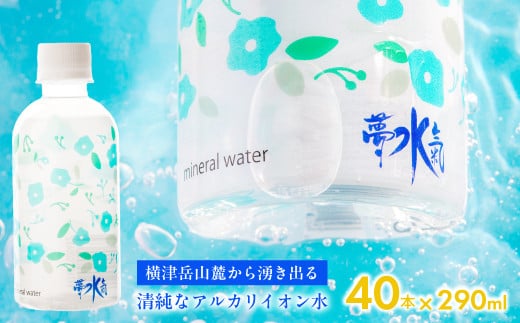 
            ミネラルウォーター夢水氣（290ml×40本） 天然アルカリイオン水 軟水 【ふるさと納税 人気 おすすめ ランキング 天然アルカリイオン水 天然水 ミネラルウォーター 横津岳山麓 北海道 七飯町 送料無料】 NAL002
          