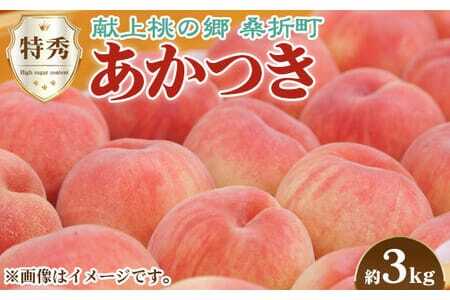 もも【あかつき・2026年産先行受付】特秀約3kg「献上桃の郷ブランド品」桑折町産　JAふくしま未来　桃 ／ もも モモ 果物 フルーツ 旬 甘い 甘み ジューシー 果肉 果汁 新鮮 フレッシュ デザート おいしい 産地直送 桑折 こおり こおりまち 福島県 特産品 No.096