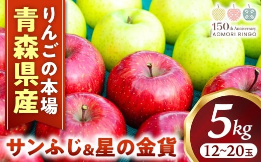 りんご【サンふじ＆星の金貨】セット 約5kg（計12～20玉）【2025年産・先行予約】★2025年11月中旬～12月中旬頃まで発送予定★ りんご 林檎 リンゴ 果物 フルーツ 国産 贈答 土産 青森県 三戸町 H2832