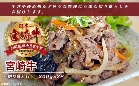 宮崎牛切り落とし600g - (都城市) 国産黒毛和牛 ブランド牛 牛肉 宮崎牛切落とし肉 300g×2パック 計600グラム 牛丼や炒め物などに 万能 冷凍 国産 九州産 宮崎県産 都城産_AA-8