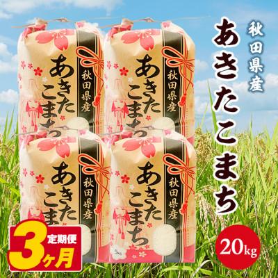 ふるさと納税 八郎潟町 【毎月定期便】あきたこまち 20kg(5kg×4袋)【白米】 秋田県産全3回