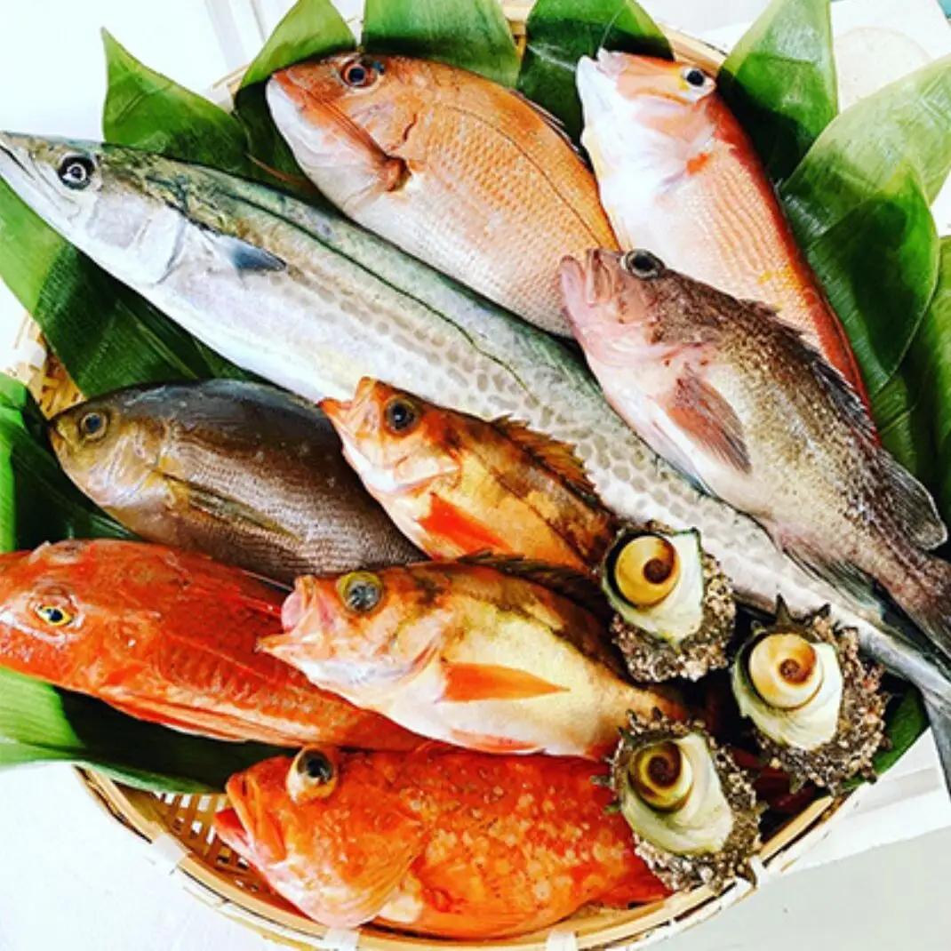 京都府宮津市産 4～5kg  セット 産地直送 鮮魚 京都府宮津市産 未加工