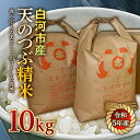 【ふるさと納税】令和5年産米 白河市産天のつぶ精米10kg F21R-542