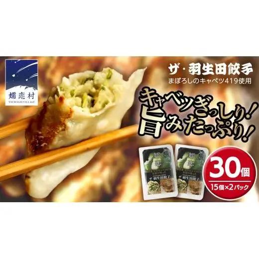 まぼろしのキャベツ419使用 ザ・羽生田餃子 15個 × 2パック 合計30個 大容量 [AL001tu]