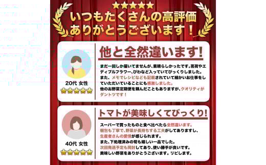 定期便 1年間 12回 野菜 詰め合わせ 産地直送 セット  (12~13品程度 ) （ きゅうり なす パプリカ ピーマン れんこん ブロッコリー にんじん 人参 トマト 玉ねぎ タマネギ 野菜 ベ