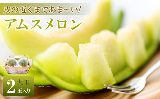 
            アムスメロン大玉　2玉入り【期間限定 数量限定 季節限定 早期予約 予約 メロン 果物 フルーツ くだもの 糖度14度以上 6月発送】
          