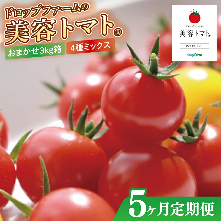【ふるさと納税】【5ヶ月定期便】【11月より順次発送】ドロップファームの美容トマトおまかせ3kg箱(4種ミックス)【とまと フルーツトマト 野菜ソムリエ 栄養士 アイコ イエローアイコ 小鈴 フルティカ 野菜 フレッシュ 水戸市 茨城県】（CK-24）