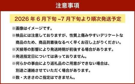 枝豆 湯あがり娘 約1kg （約200g×5袋） 【2026年6月下旬～7月下旬まで順次発送予定】｜ 野菜 豆 えだまめ おつまみ おやつ 旬 旬の野菜 旬の食材 国産 小分け 個包装 静岡 静岡県産