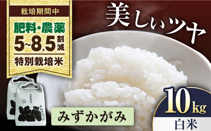 
            【先行予約/令和7年産新米】みずかがみ  10kg（5kg× 2） 白米  特別栽培米  長浜市/株式会社お米の家倉 [AQCP056] 米 お米 白米  10kg  みずかがみ 特別栽培米  滋賀県産 長浜市産 こめ 玄米 白米 精米 お米 新米 食品 ふるさと納税 国産 炊きたて 米ギフト もちもち ブランド米  食卓 美味しい 産地直送 節約 人気
          
