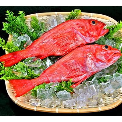 ふるさと納税 紋別市 キンキ(600g前後2尾)