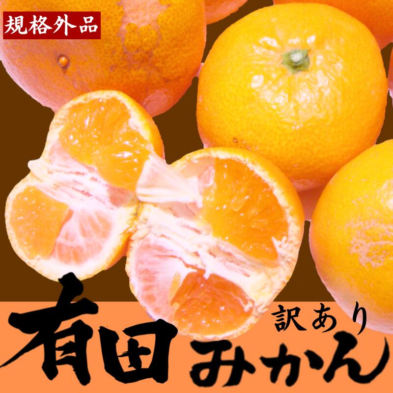【ふるさと納税】【先行受付】【訳あり】有田みかん 選べる内容量 ｜ 農家直送 訳あり ご家庭用 サイズ混合 光センサー選別 温州みかん みかん 訳あり わけあり 家庭用 ※2025年11月中旬～12月下旬頃に順次発送予定 ※北海道・沖縄・離島への配送不可