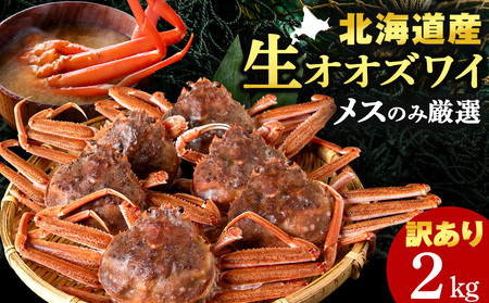 北海道産 生大ズワイガニ メス 2kg （加熱用） ずわいがに 蟹 〈斉藤水産〉AM159