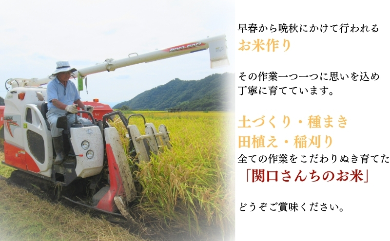 米 令和7年産 関口さんちのお米 コシヒカリ 10kg お米 こめ コメ 精米 白米 ご飯 こしひかり 長野 信州