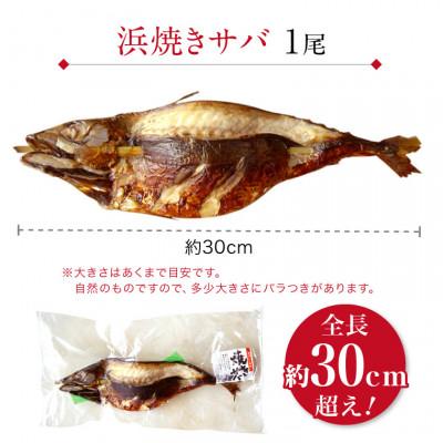 ふるさと納税 福井市 浜焼きサバ　丸ごと串刺し4本入 |  | 02