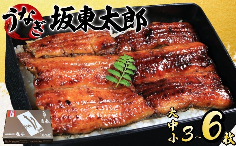 
                  うなぎ 蒲焼 坂東太郎  【選べるサイズ・容量】 大 中 小 3枚 5枚 6枚 鰻 鰻蒲焼 たれ 国産 化粧箱入り レトルト 惣菜 特別 人気 化粧箱入り タレ 山椒 スタミナ 大容量 簡単調理 真空パック お取り寄せ グルメ ギフト お土産 土用の丑の日 お中元 お歳暮 お祝い 贈答 食品 おいしい うな重 ひつまぶし ウナギ 魚 魚介 魚貝類 冷凍 送料無料 千葉県 銚子市 忠平
                