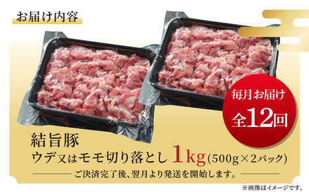 《定期便》全12回 結旨豚 ウデ又はモモ 切り落とし 500g×2パック 冷凍真空パック | 肉 お肉 豚肉 国産 食べ比べ セット 白川郷 岐阜県 白川村 ブランド豚 人気 おすすめ ギフト 飛騨高