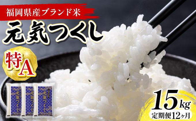 【12ヶ月定期便】福岡県産米 元気つくし 15kg 令和7年産 ※北海道・沖縄・離島は配送不可【精米 7年産 国産 福岡県産 お米 ブランド米 15kg げんきつくし】CY013sub12