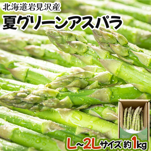 【先行予約/令和7年産】北海道岩見沢産　夏グリーンアスパラ　L～2Lサイズ 1kg【41104】