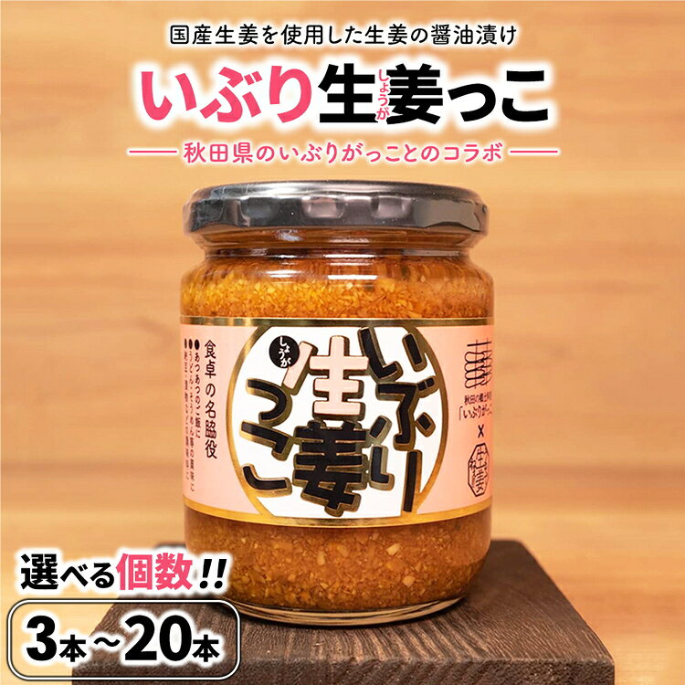 【ふるさと納税】【選べる個数】いぶり生姜っこ 3本 6本 12本 20本 セット | しょうが 国産 醤油漬け いぶりがっこ ごはんのお供 お弁当 調味料 おつまみ 肴 薬味 隠し味 猪苗代町 福島県