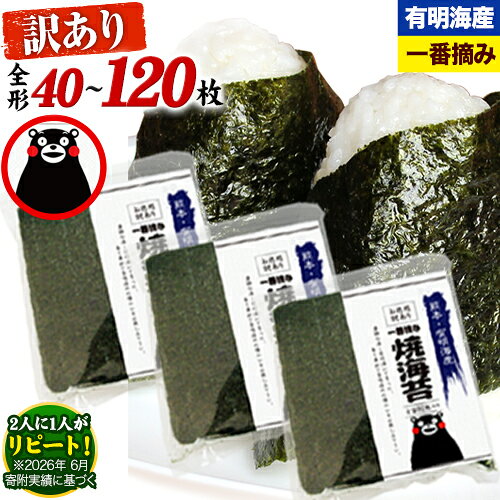 【ふるさと納税】 海苔 訳あり 一番摘み 海苔 全形 40枚〜120枚 有明海産 のり 熊本県産 選べる内容量 大容量 小分け 全形 選べる 40枚 80枚 120枚 《出荷時期をお選びください》 のり 初摘み