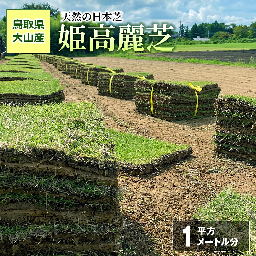 【ふるさと納税】YG-03　天然の日本芝大人気品種「姫高麗芝」1平方メートル分 鳥取県 鳥取県産 大山町 大山 お土産 返礼品 国産 お取り寄せ ご当地