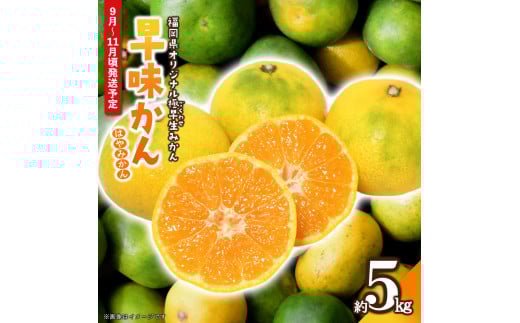 【先行受付】2025年の秋に配送！福岡県オリジナル品種極早生みかん『早味かん』約５kg＜配送不可：北海道・沖縄・離島＞