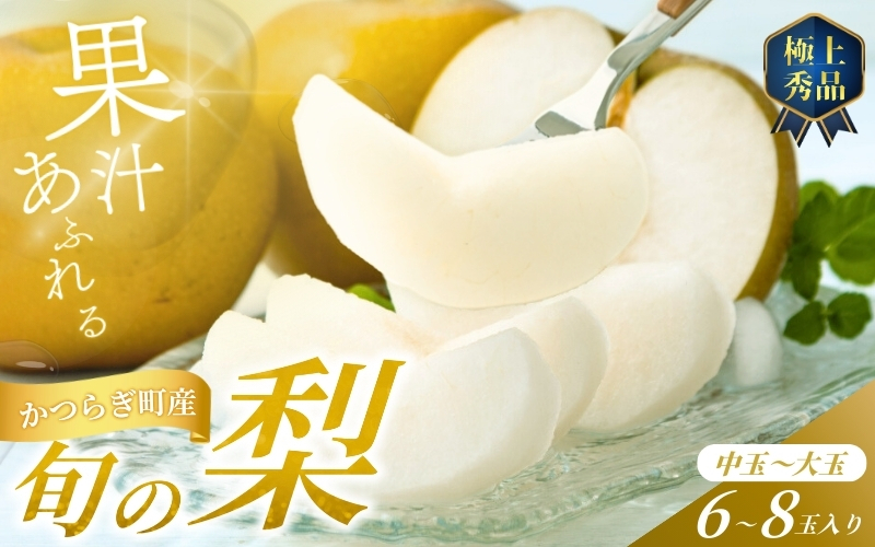 
            【先行予約】旬の梨(幸水ー豊水ーあきづき) 極上秀品（中玉～大玉）6～8個入り 2025年8月下旬～2025年9月下旬頃に順次発送予定（お届け日指定不可）/ 和歌山 梨 フルーツ 果物 くだもの【kgr015】
          
