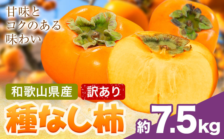 家庭用 種なし柿 約7.5kg 訳あり 池田鹿蔵農園《10月上旬-12月上旬頃出荷》和歌山県 日高町 刀根早生柿 平核無柿 ひらたねなしかき カキ 種なし柿---wsh_idn374_10j12j_2