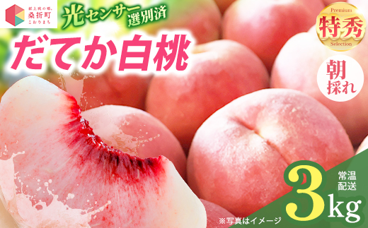 もも【だてか白桃・2026年産】特秀3kg（8～11玉）桑折町振興公社　桃　献上桃の郷　【07301-0180】